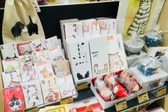 AF8797FF-9E7F-46FE-8783-A7E1F6A144FA