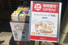 61698360_2279719475455968_5549915808852869120_o_2279719472122635