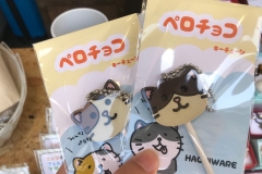 61756816_2279719908789258_8808080606643617792_o_2279719905455925