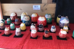 61947025_2279719695455946_1562718305846820864_o_2279719692122613