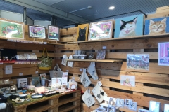 62021361_2279719508789298_5564354917671370752_o_2279719505455965