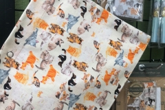 69364290_2447175488710365_2882738996323024896_o_2447175485377032