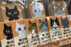 69494968_2447174742043773_7348235267276275712_o_2447174738710440