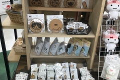 69500782_2447176408710273_8678057597107961856_o_2447176402043607