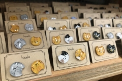 69513831_2447175045377076_8228164239617949696_o_2447175042043743