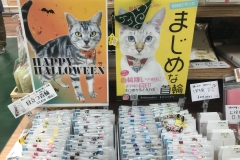 69515472_2447175618710352_4288316277149138944_o_2447175615377019