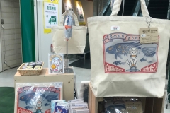 69519321_2447174405377140_1056750319196700672_o_2447174402043807