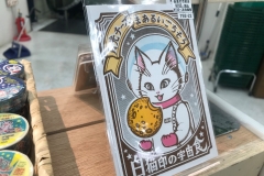 69561911_2447174465377134_8299108578132754432_o_2447174458710468