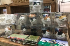 69566934_2447175662043681_4429235326656970752_o_2447175658710348