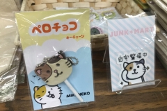 69589120_2447174545377126_338437787927707648_o_2447174538710460