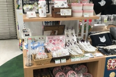 69623617_2447177765376804_1288815936299597824_o_2447177758710138