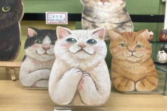 69650645_2447174712043776_3220977476293361664_o_2447174705377110