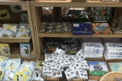 69672228_2447177155376865_7642626211373383680_o_2447177152043532