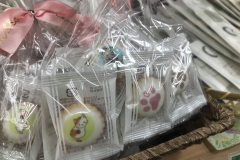 69711076_2447175132043734_657426228772339712_o_2447175128710401