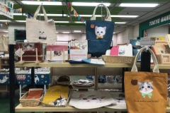 69737487_2447175365377044_1895558759250395136_o_2447175362043711