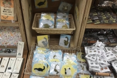 69746547_2447177068710207_5579222990643527680_o_2447177065376874