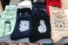 69786175_2447177555376825_8480508587758583808_o_2447177552043492