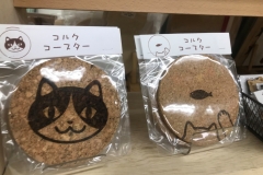 69788913_2447174492043798_2911966635319361536_o_2447174488710465