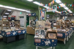 69906729_2447175192043728_6627192494016692224_o_2447175185377062