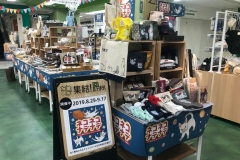 69934045_2447177375376843_3866920233826516992_o_2447177368710177