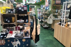 69970582_2447176212043626_4897150358331064320_o_2447176205376960