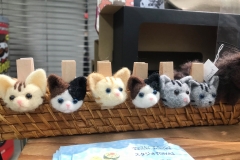 70413309_2447175785377002_7788349052952772608_o_2447175782043669