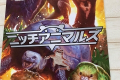 62047478_2293345600760022_5078910221791789056_n_2293345597426689