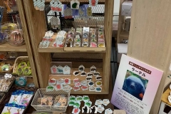 62177473_2293345070760075_8033707529412280320_n_2293345067426742