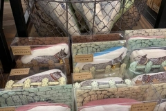 62183171_2293347537426495_2071837269483847680_n_2293347534093162