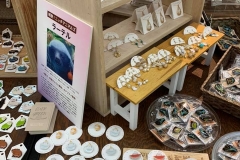 62208742_2293345224093393_3488989590251896832_n_2293345220760060