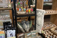 62213666_2293345450760037_4568255884655853568_n_2293345444093371