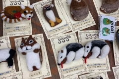 62324181_2293344900760092_7403069741809532928_n_2293344897426759