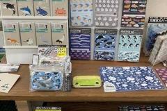 62342782_2293345717426677_3084749604814585856_n_2293345714093344