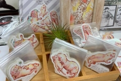 62370649_2293346157426633_8143802668083576832_n_2293346140759968