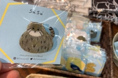 62386239_2293345307426718_6319604184865832960_n_2293345304093385