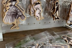 62433850_2293345877426661_7113343849455419392_n_2293345874093328