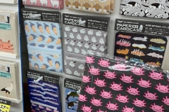 62449850_2293347127426536_4314603220757381120_n_2293347124093203