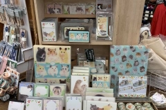 62454494_2293347060759876_4933982851105292288_n_2293347057426543