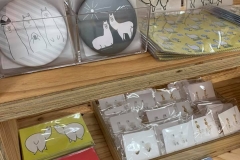 62474873_2293345764093339_1876213281656406016_n_2293345760760006