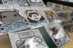 62480285_2293346047426644_215834549144256512_n_2293346044093311