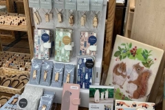 62534349_2293345484093367_6659282105945554944_n_2293345480760034