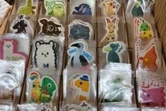 63330534_2293346544093261_7879986531014803456_n_2293346540759928