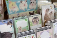 64257679_2293347587426490_2058445037468909568_n_2293347584093157