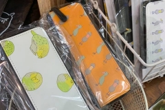 64283438_2293347384093177_370149451324456960_n_2293347367426512