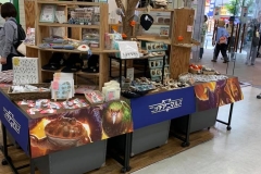 64410957_2293345994093316_4134559901106044928_n_2293345987426650