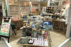 57072657_2204225586338691_2628294434944450560_o_2204225579672025