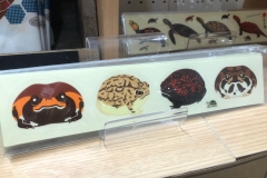 57546415_2204224976338752_3110473031533723648_o_2204224969672086